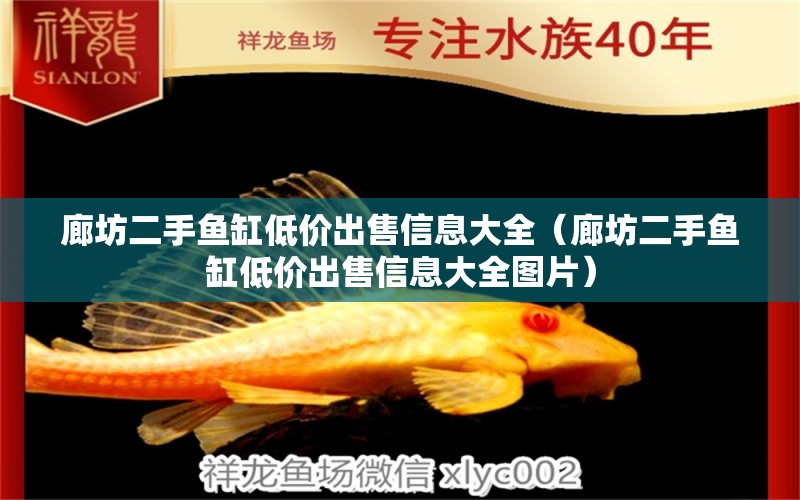 廊坊二手魚缸低價出售信息大全（廊坊二手魚缸低價出售信息大全圖片）