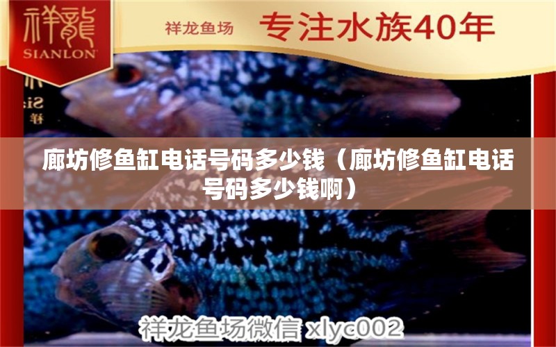 廊坊修魚缸電話號碼多少錢（廊坊修魚缸電話號碼多少錢?。? title=