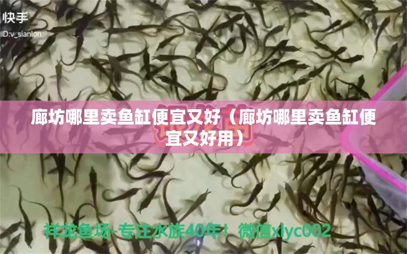 廊坊哪里賣魚缸便宜又好（廊坊哪里賣魚缸便宜又好用） 其他品牌魚缸