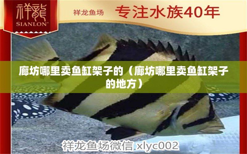 廊坊哪里賣魚缸架子的（廊坊哪里賣魚缸架子的地方） 祥龍水族醫(yī)院