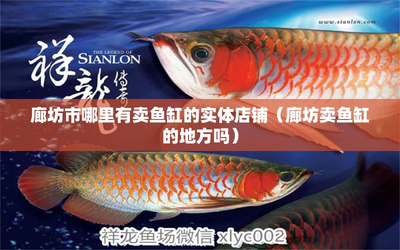 廊坊市哪里有賣魚(yú)缸的實(shí)體店鋪（廊坊賣魚(yú)缸的地方嗎） 泰國(guó)雪鯽魚(yú)