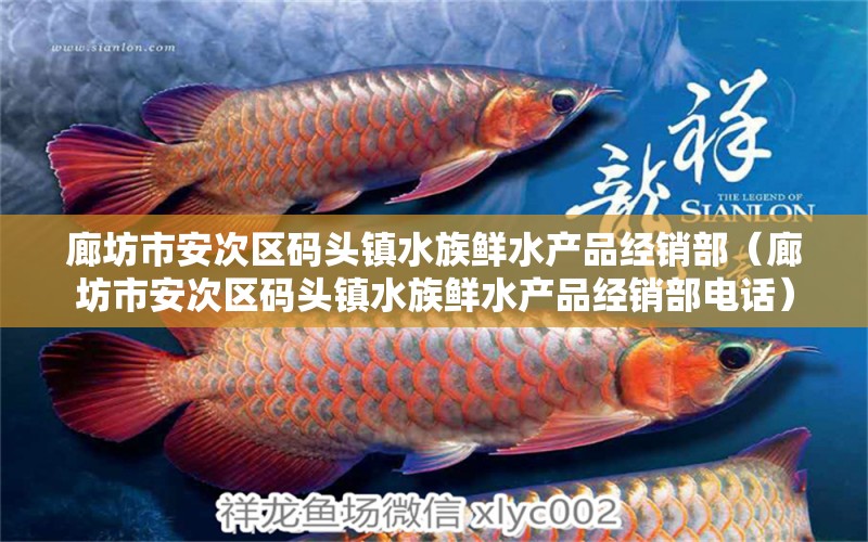 廊坊市安次區(qū)碼頭鎮(zhèn)水族鮮水產(chǎn)品經(jīng)銷部（廊坊市安次區(qū)碼頭鎮(zhèn)水族鮮水產(chǎn)品經(jīng)銷部電話） 全國水族館企業(yè)名錄