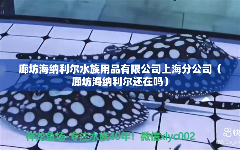 廊坊海納利爾水族用品有限公司上海分公司（廊坊海納利爾還在嗎） 水族用品