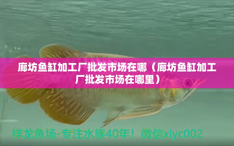 廊坊魚缸加工廠批發(fā)市場在哪（廊坊魚缸加工廠批發(fā)市場在哪里）