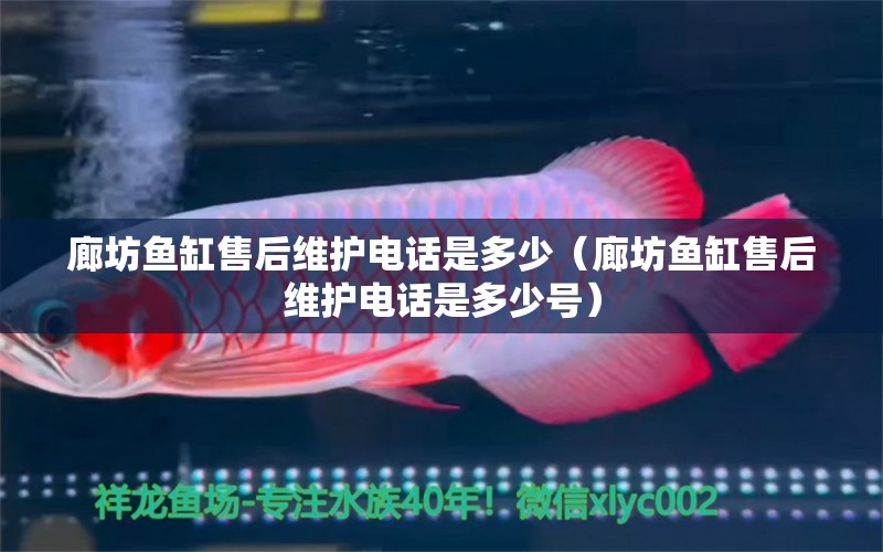 廊坊魚缸售后維護(hù)電話是多少（廊坊魚缸售后維護(hù)電話是多少號）