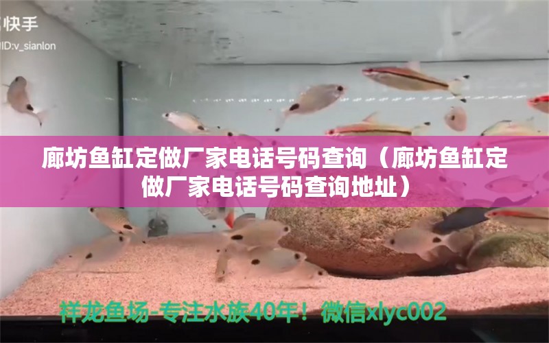 廊坊魚缸定做廠家電話號(hào)碼查詢（廊坊魚缸定做廠家電話號(hào)碼查詢地址）