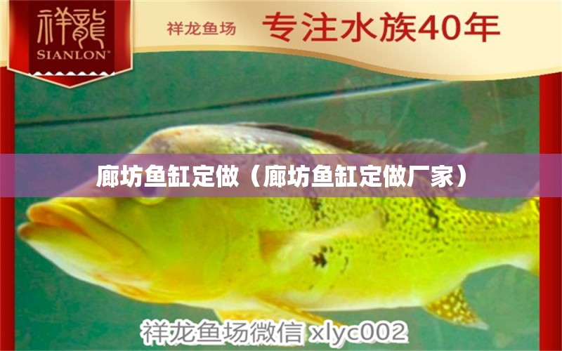 廊坊魚缸定做（廊坊魚缸定做廠家）