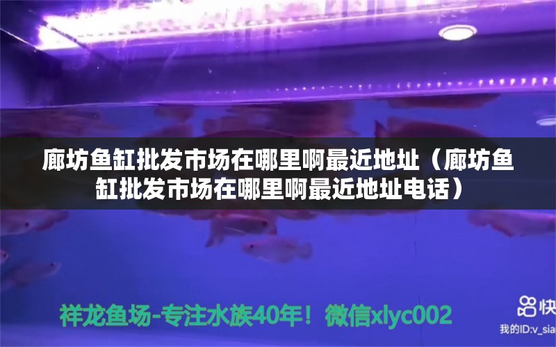 廊坊魚缸批發(fā)市場在哪里啊最近地址（廊坊魚缸批發(fā)市場在哪里啊最近地址電話）