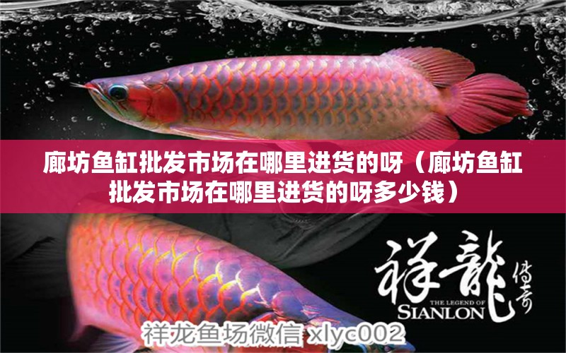 廊坊魚缸批發(fā)市場在哪里進貨的呀（廊坊魚缸批發(fā)市場在哪里進貨的呀多少錢） 廣州孟吉爾