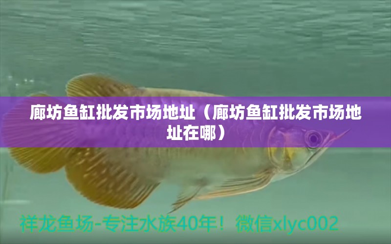 廊坊魚缸批發(fā)市場(chǎng)地址（廊坊魚缸批發(fā)市場(chǎng)地址在哪）