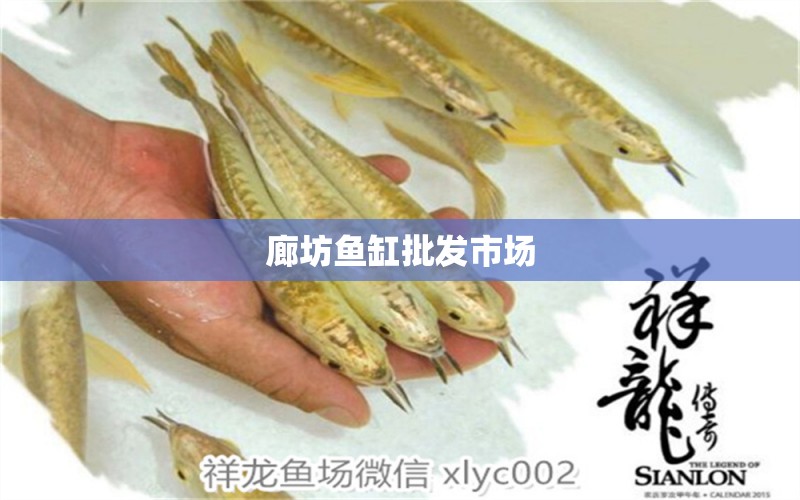 廊坊魚缸批發(fā)市場(chǎng)