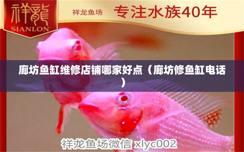 廊坊魚缸維修店鋪哪家好點（廊坊修魚缸電話） 超血紅龍魚