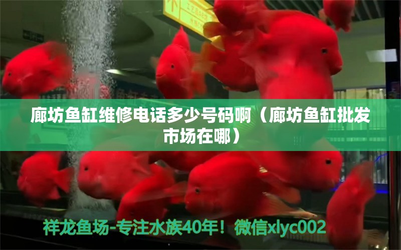 廊坊魚缸維修電話多少號碼?。ɡ确霍~缸批發(fā)市場在哪）