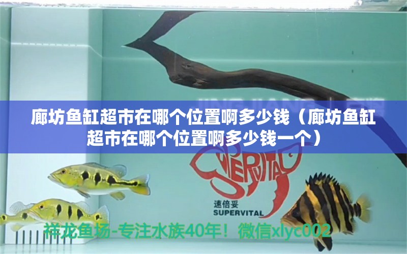 廊坊魚缸超市在哪個(gè)位置啊多少錢（廊坊魚缸超市在哪個(gè)位置啊多少錢一個(gè)）