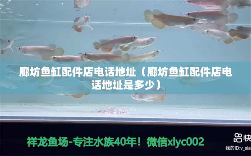 廊坊魚缸配件店電話地址（廊坊魚缸配件店電話地址是多少） 斯維尼關(guān)刀魚