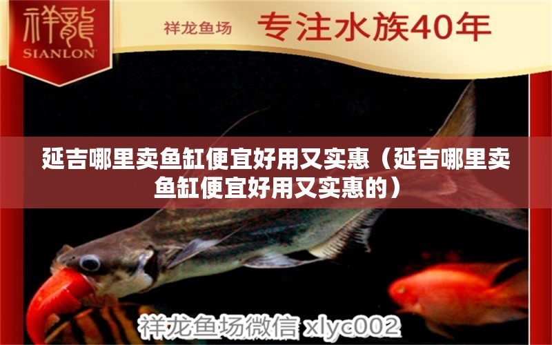 延吉哪里賣魚(yú)缸便宜好用又實(shí)惠（延吉哪里賣魚(yú)缸便宜好用又實(shí)惠的）