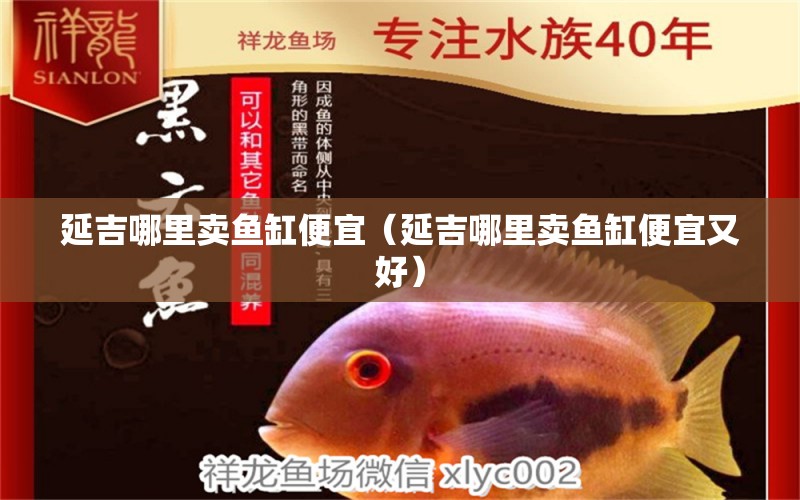 延吉哪里賣魚缸便宜（延吉哪里賣魚缸便宜又好） 其他品牌魚缸