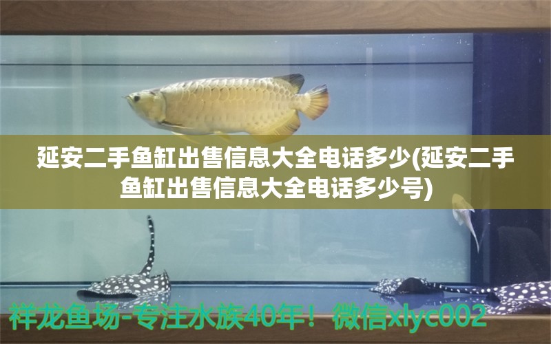 延安二手魚缸出售信息大全電話多少(延安二手魚缸出售信息大全電話多少號) 帝王迷宮