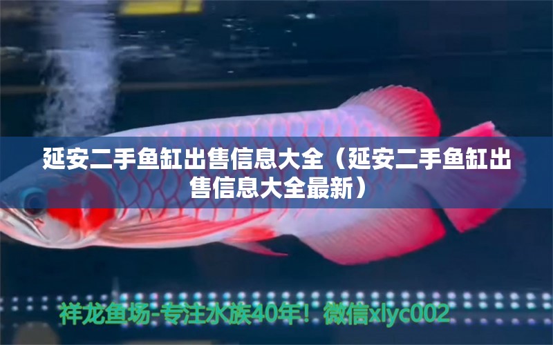 延安二手魚缸出售信息大全（延安二手魚缸出售信息大全最新）