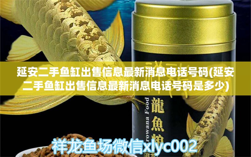 延安二手魚缸出售信息最新消息電話號碼(延安二手魚缸出售信息最新消息電話號碼是多少)