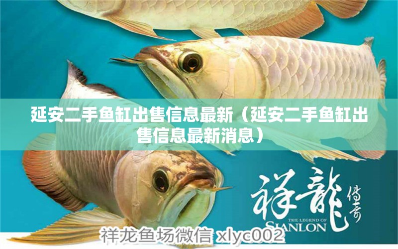 延安二手魚缸出售信息最新（延安二手魚缸出售信息最新消息） 其他品牌魚缸