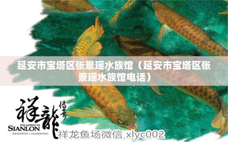 延安市寶塔區(qū)張景瑤水族館（延安市寶塔區(qū)張景瑤水族館電話）