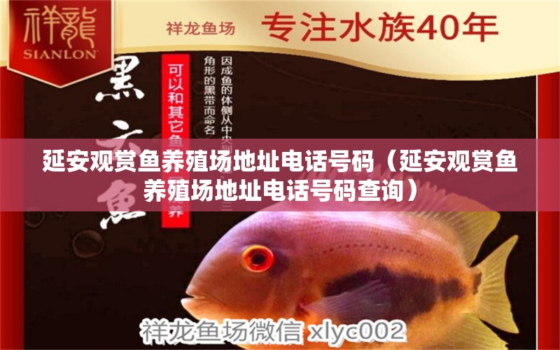 延安觀賞魚養(yǎng)殖場(chǎng)地址電話號(hào)碼（延安觀賞魚養(yǎng)殖場(chǎng)地址電話號(hào)碼查詢）