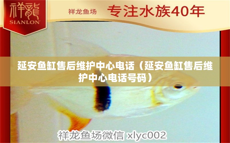 延安魚缸售后維護(hù)中心電話（延安魚缸售后維護(hù)中心電話號(hào)碼）