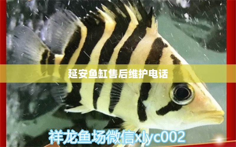 延安魚(yú)缸售后維護(hù)電話