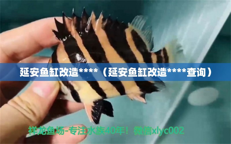 延安魚缸改造****（延安魚缸改造****查詢） 祥龍水族醫(yī)院