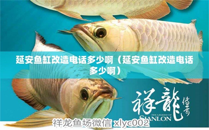 延安魚(yú)缸改造電話多少?。ㄑ影掺~(yú)缸改造電話多少?。?祥龍水族醫(yī)院