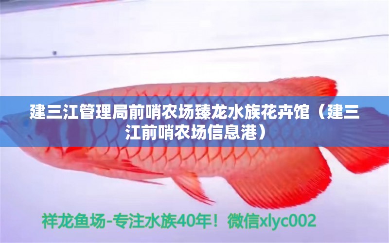 建三江管理局前哨農(nóng)場臻龍水族花卉館（建三江前哨農(nóng)場信息港）