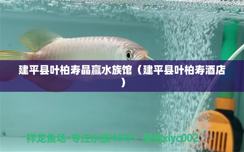 建平縣葉柏壽晶贏水族館（建平縣葉柏壽酒店）