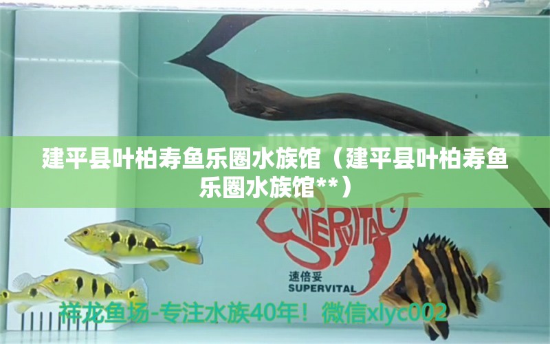 建平縣葉柏壽魚樂(lè)圈水族館（建平縣葉柏壽魚樂(lè)圈水族館**） 全國(guó)水族館企業(yè)名錄