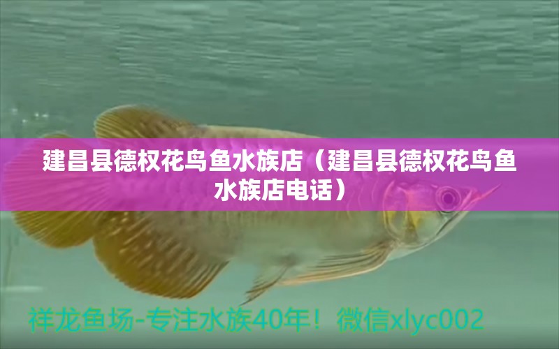 建昌縣德權(quán)花鳥魚水族店（建昌縣德權(quán)花鳥魚水族店電話）