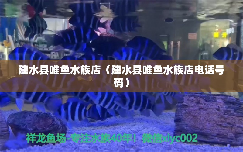 建水縣唯魚水族店（建水縣唯魚水族店電話號碼） 全國水族館企業(yè)名錄