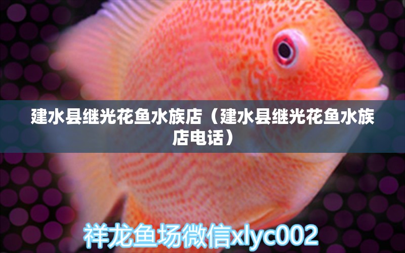 建水縣繼光花魚(yú)水族店（建水縣繼光花魚(yú)水族店電話(huà)） 全國(guó)水族館企業(yè)名錄