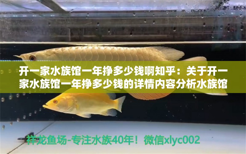 開一家水族館一年掙多少錢啊知乎：關(guān)于開一家水族館一年掙多少錢的詳情內(nèi)容分析水族館盈利情況 水族館百科（水族館加盟） 第1張