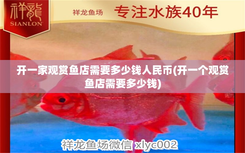 開一家觀賞魚店需要多少錢人民幣(開一個觀賞魚店需要多少錢)