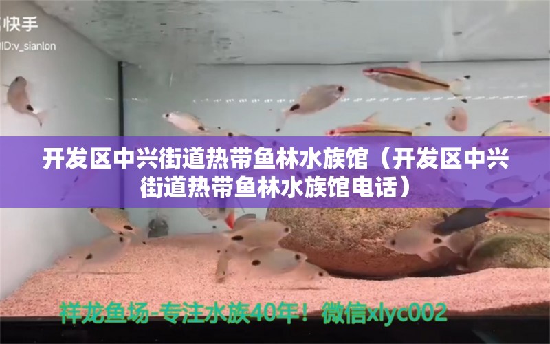 開發(fā)區(qū)中興街道熱帶魚林水族館（開發(fā)區(qū)中興街道熱帶魚林水族館電話）