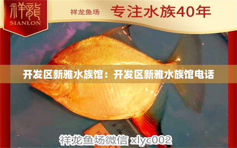 開發(fā)區(qū)新雅水族館：開發(fā)區(qū)新雅水族館電話