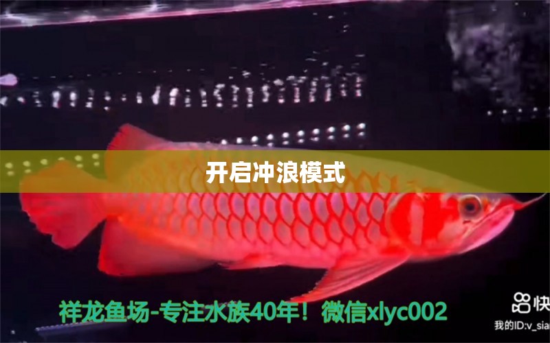 開啟沖浪模式 觀賞魚論壇 第4張