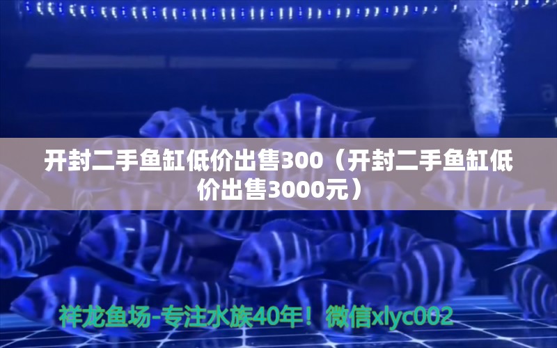 開封二手魚缸低價出售300（開封二手魚缸低價出售3000元）