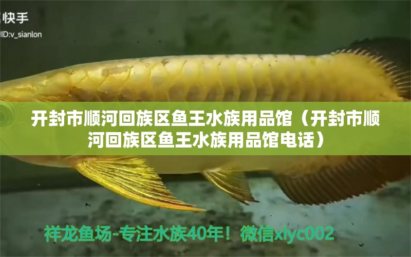 開封市順河回族區(qū)魚王水族用品館（開封市順河回族區(qū)魚王水族用品館電話）