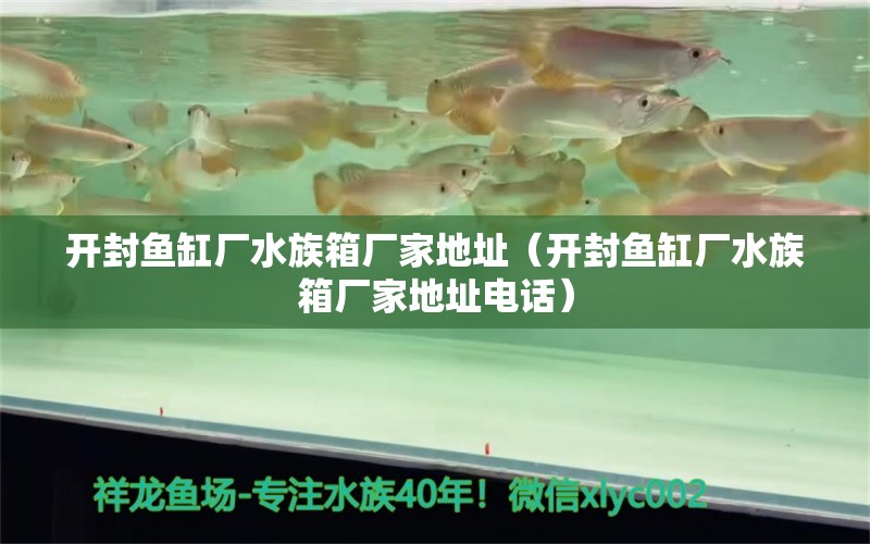 開封魚缸廠水族箱廠家地址（開封魚缸廠水族箱廠家地址電話）