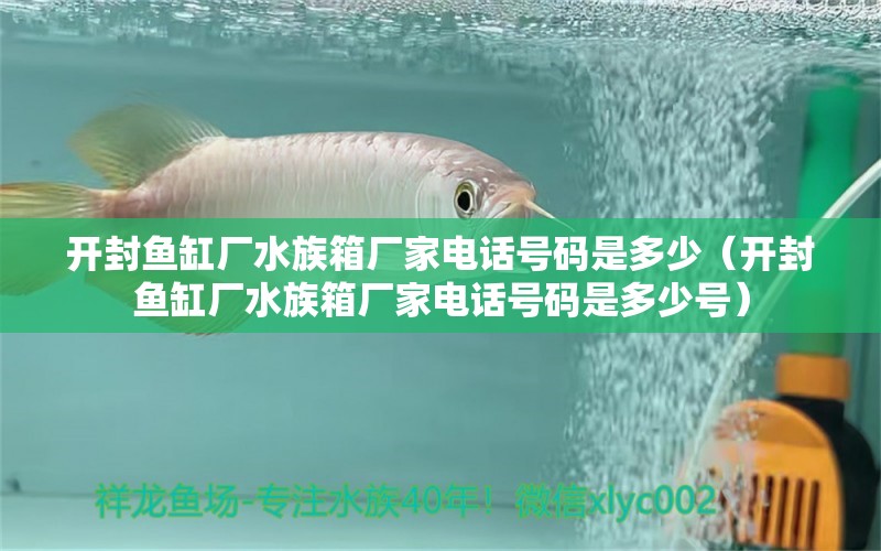 開封魚缸廠水族箱廠家電話號碼是多少（開封魚缸廠水族箱廠家電話號碼是多少號）