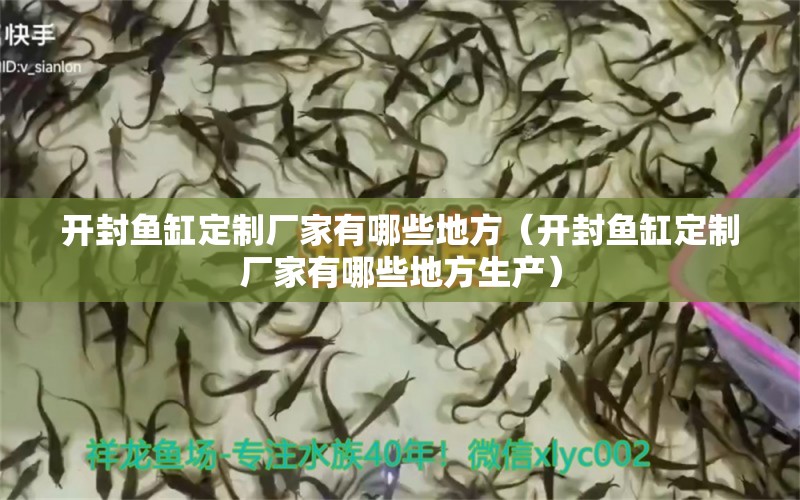 開封魚缸定制廠家有哪些地方（開封魚缸定制廠家有哪些地方生產(chǎn)） 藍(lán)底過背金龍魚