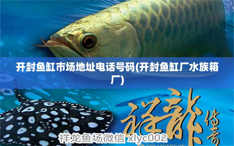 開封魚缸市場地址電話號碼(開封魚缸廠水族箱廠) 魚缸/水族箱