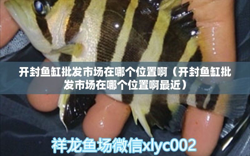 開封魚缸批發(fā)市場在哪個位置啊（開封魚缸批發(fā)市場在哪個位置啊最近）