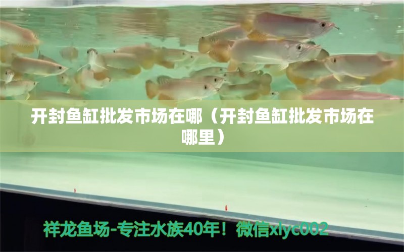 開封魚缸批發(fā)市場在哪（開封魚缸批發(fā)市場在哪里）